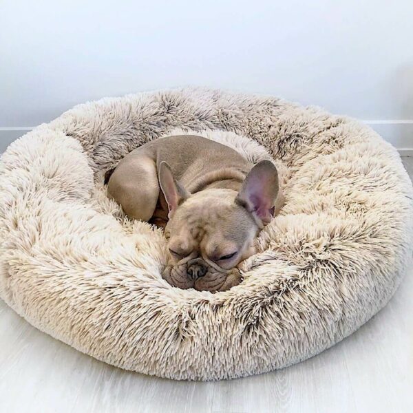 Therapeutic Bed™ Official Retailer – Dog & Cat Calming Cushion Bed For Deep Sleep
