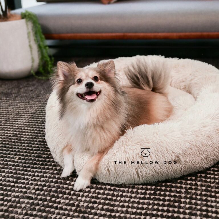 The Mellow Dog™ Calming Bed Official Retailer