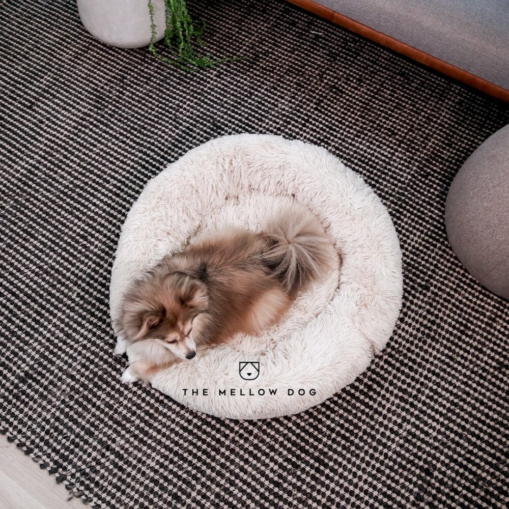 The Mellow Dog™ Official Retailer – Calming Bed