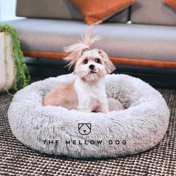 The Mellow Dog™ Official Retailer – Calming Bed