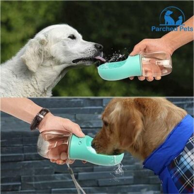 Parched Pets™ Water Bottle – Official Retailer