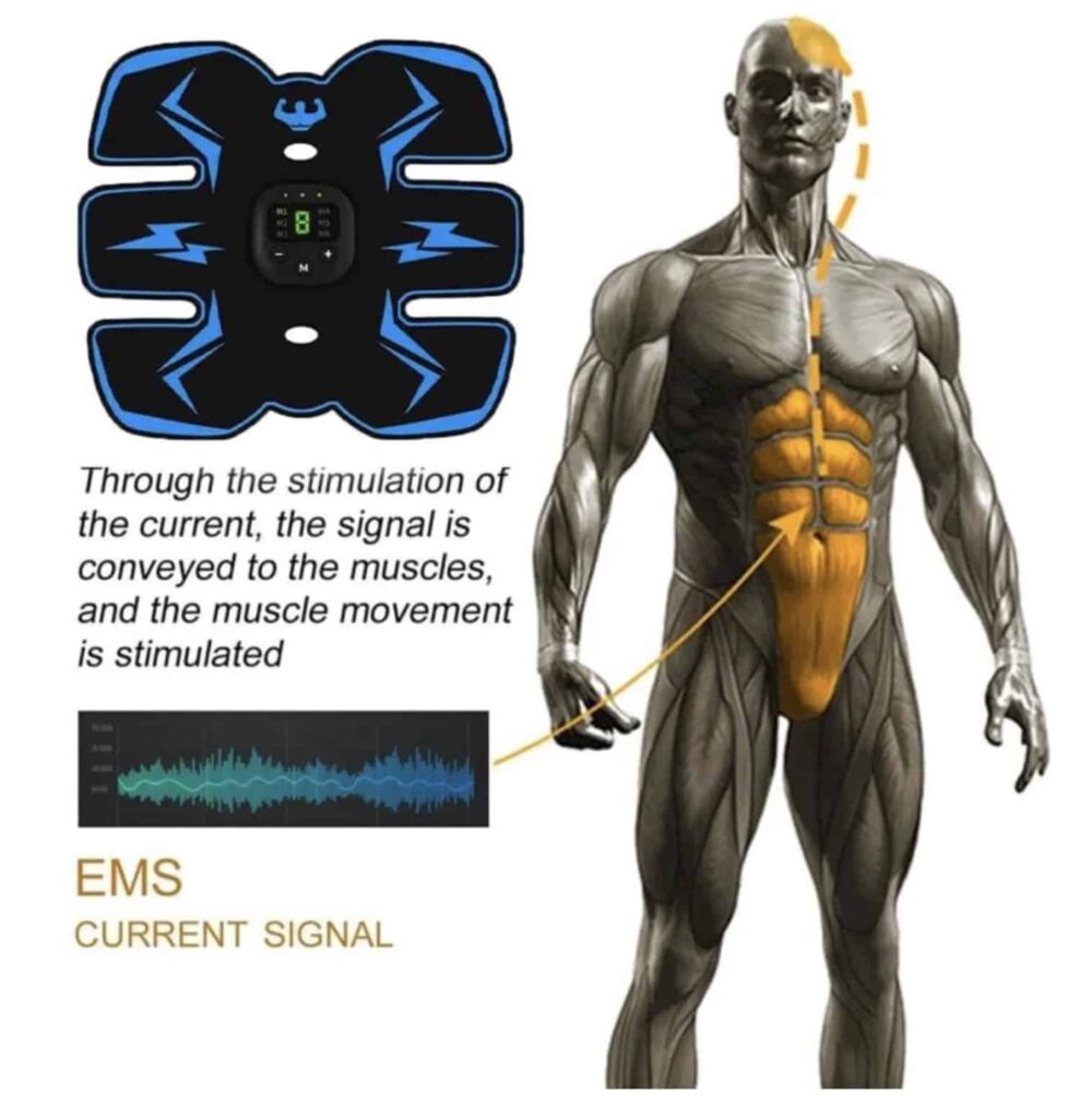 Hilipert EMS Muscle Stimulator - Official Retailer