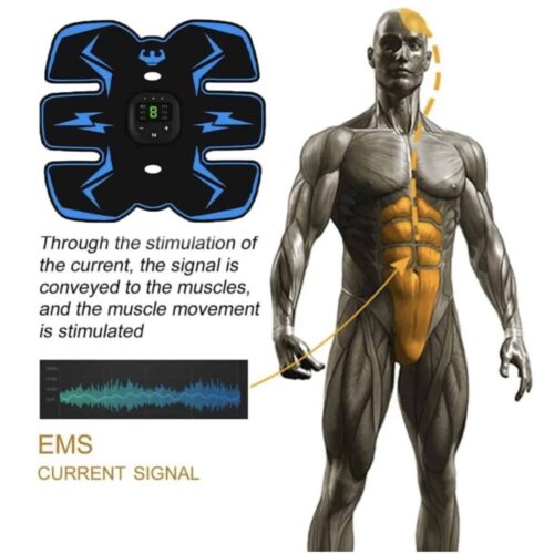 Hilipert EMS Muscle Stimulator - Official Retailer