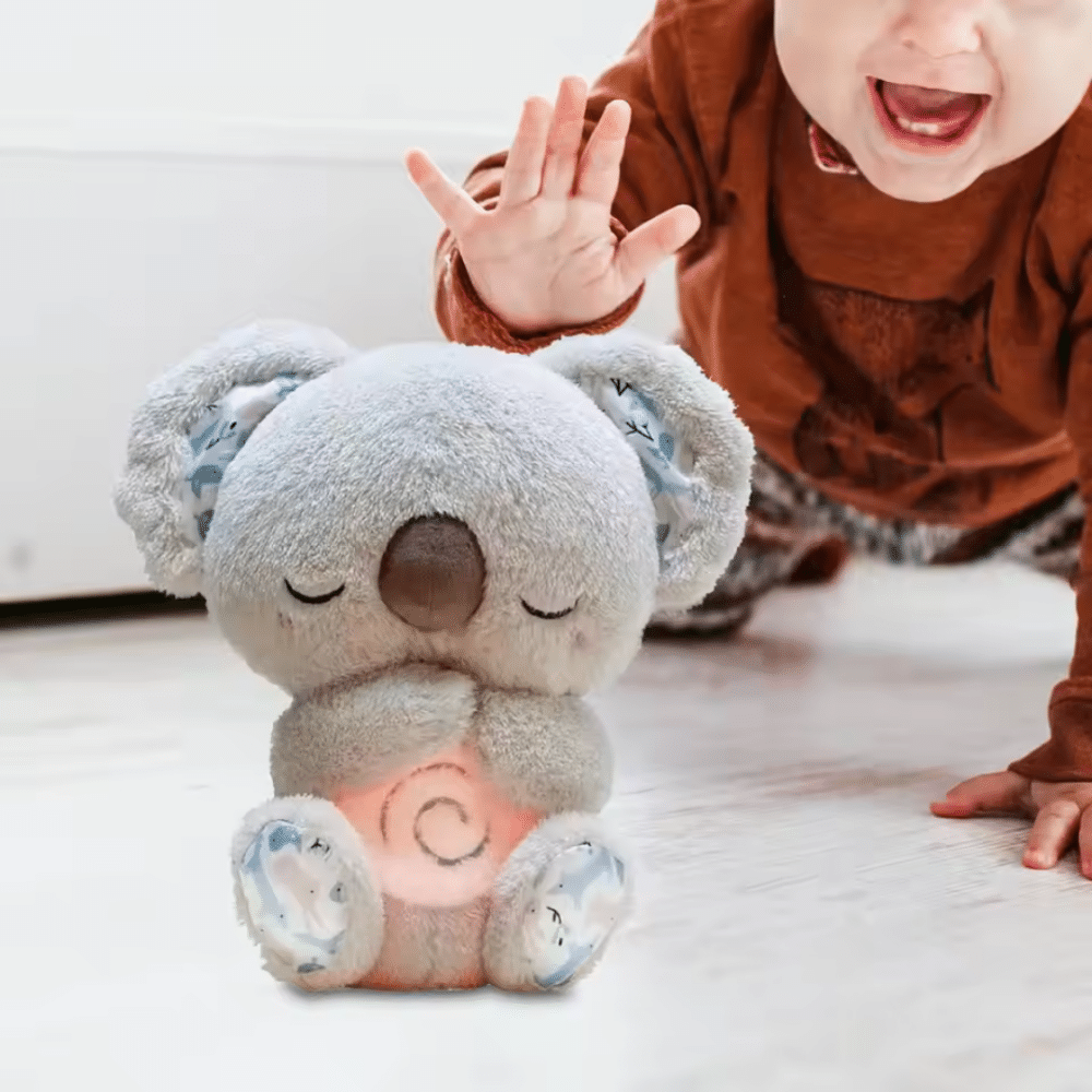 Evora Relief Koala - Official Retailer