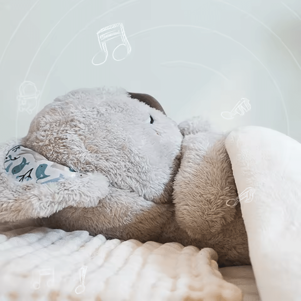 Evora Relief Koala - Official Retailer