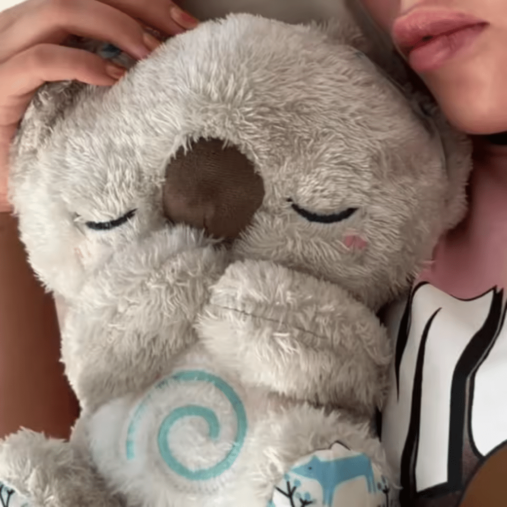 Evora Relief Koala - Official Retailer