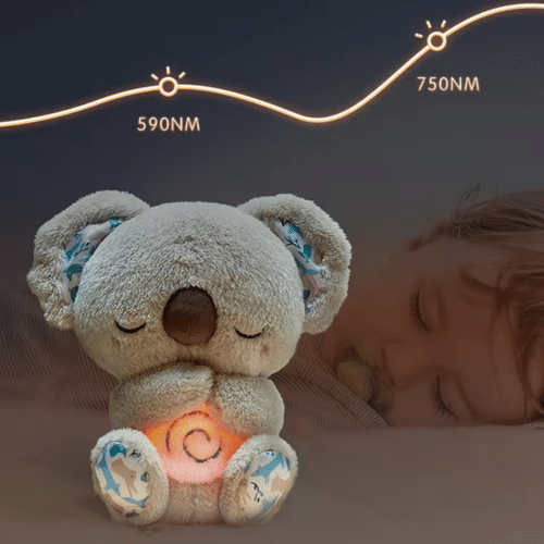 Evora Relief Koala - Official Retailer