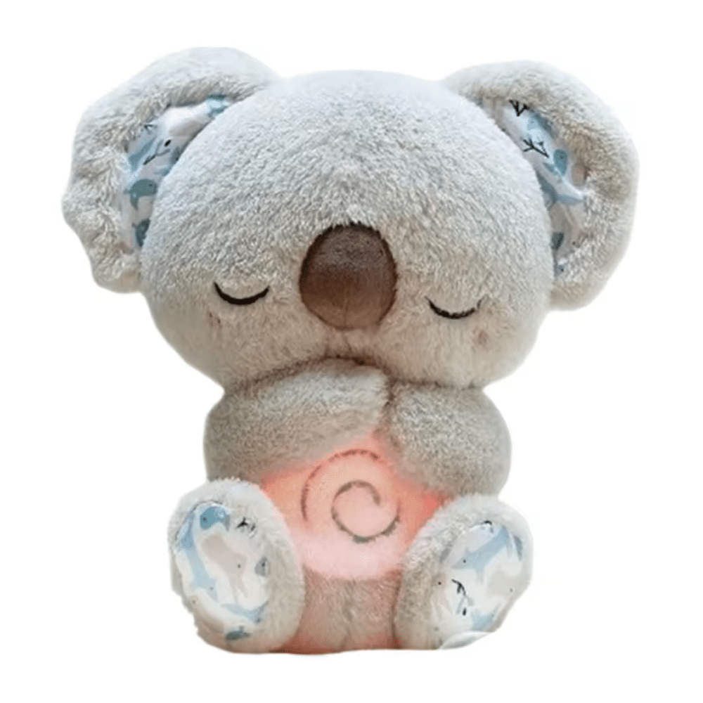 Evora Relief Koala - Official Retailer
