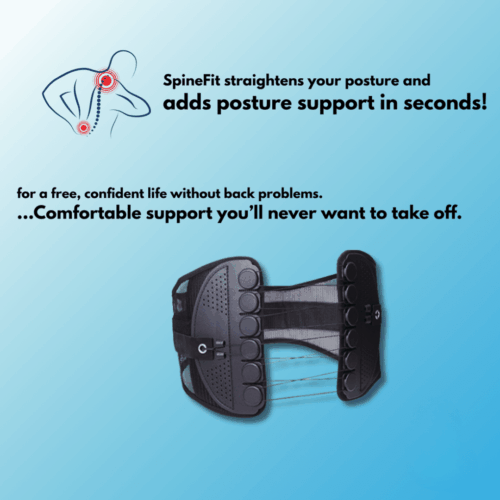 SpineFit Go (Official Retailer) 2025