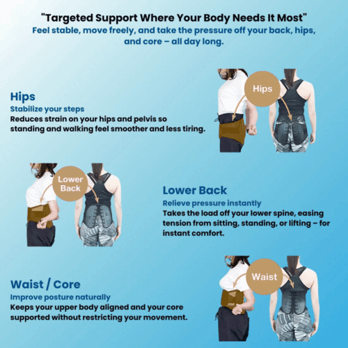 SpineFit Go (Official Retailer) 2025