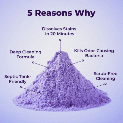 FizzClean Toilet Cleaner (Official Retailer) [year]