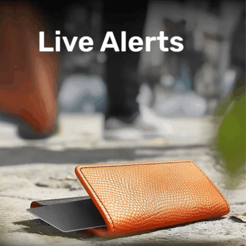 Tagsley Tracking Card (Official Retailer) [year]