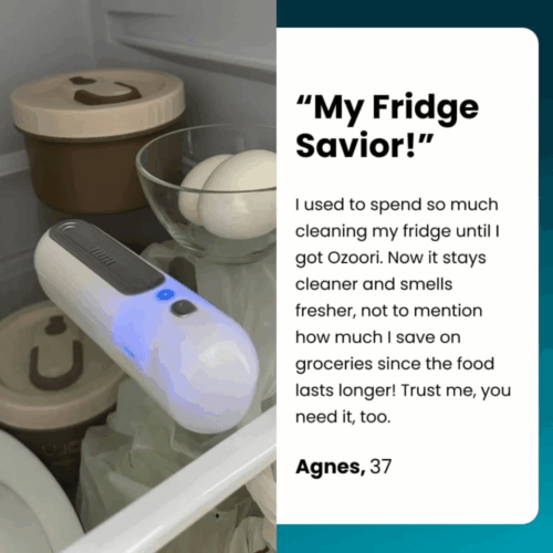 Ozoori Fridge Deodorizer (Official Retailer) [year]