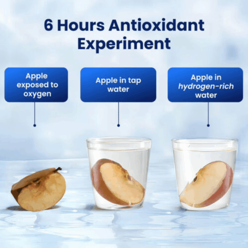 Hydrohealth Hydrogen Water Bottle (Official Retailer) [year]