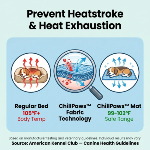 ChillPaws Cooling Mat (Official Retailer) [year]